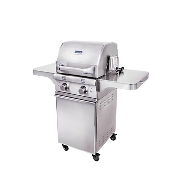 Elite Series 2-Burner Gas Grill