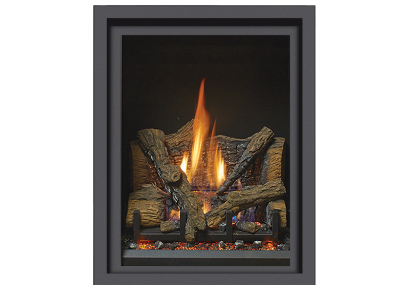 Probuilder 24 Clean Face Basic - MV