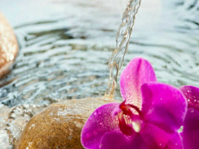 Water Fragrance Brands