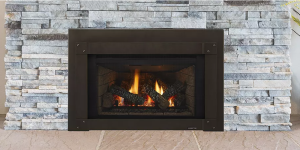 Excursion Series Gas Fireplace Insert