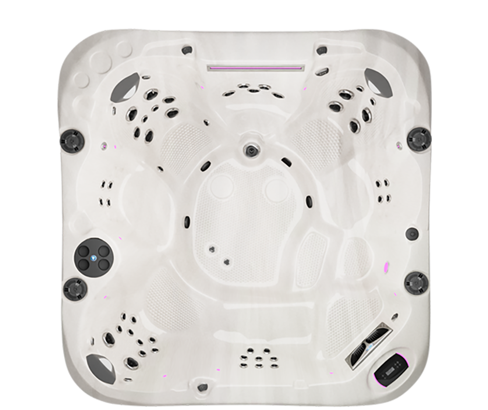 Apex B Bench Curve Elite